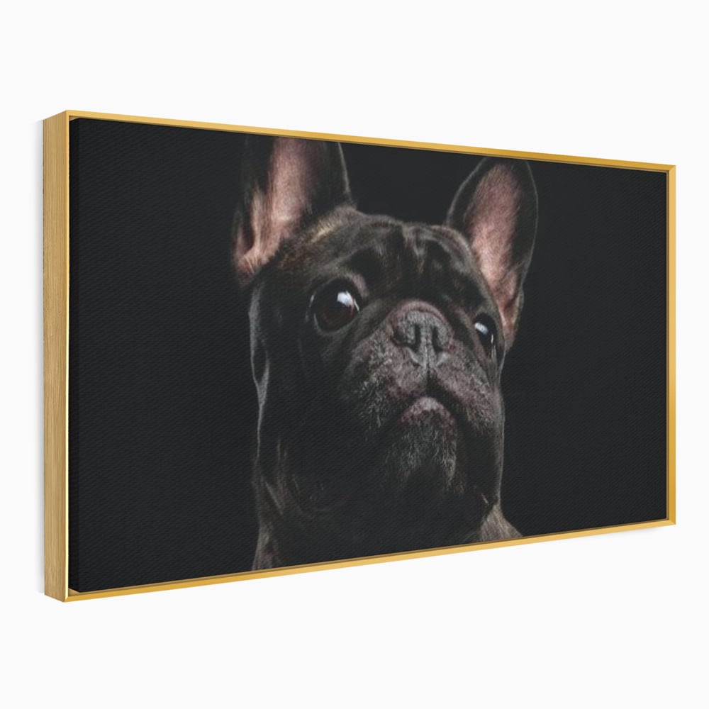 Tablou canvas cu tablou canvas cu bulldog in umbra, in rama de aluminiu auriu